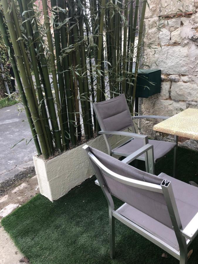La Gitonniere , 5 Min Du Zoo Parc De Beauval Βίλα Saint-Aignan  Εξωτερικό φωτογραφία